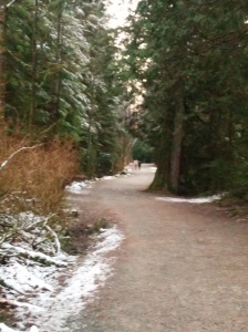 Lynn Loop Trail with just a sprinkling of snow.