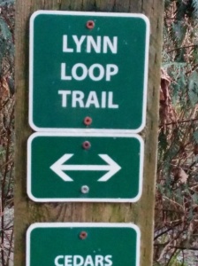You can't get lost on this trail
